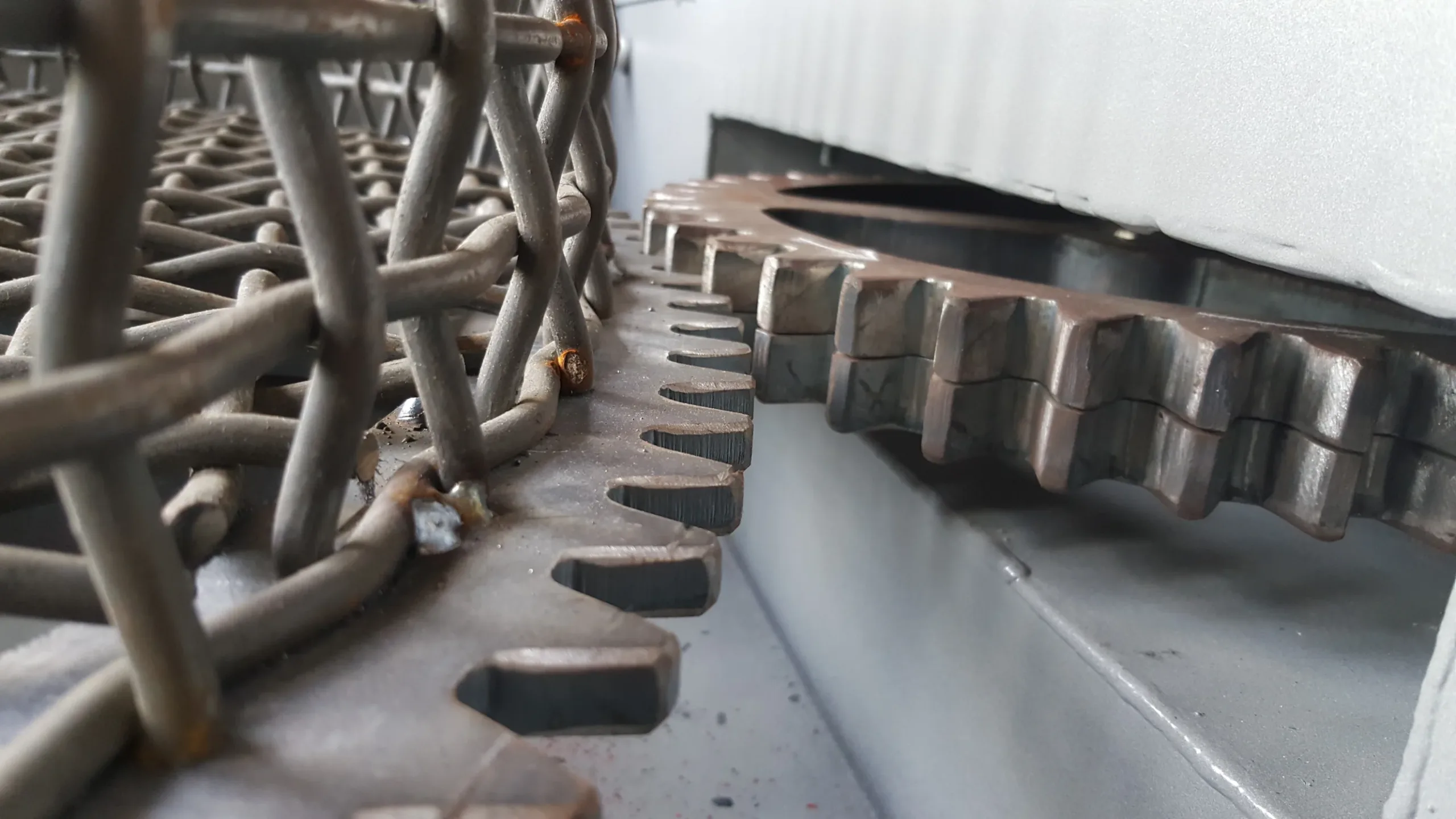 20180531_095403_001 (1)